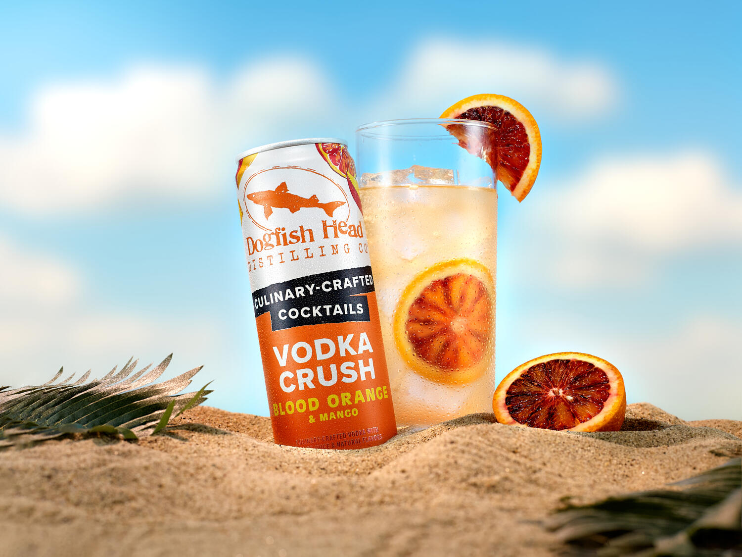 Dogfish Head Vodka Crush on the Beach by Arie Cooper Dogfish Head Vodka Crush on the Beach by Arie Cooper